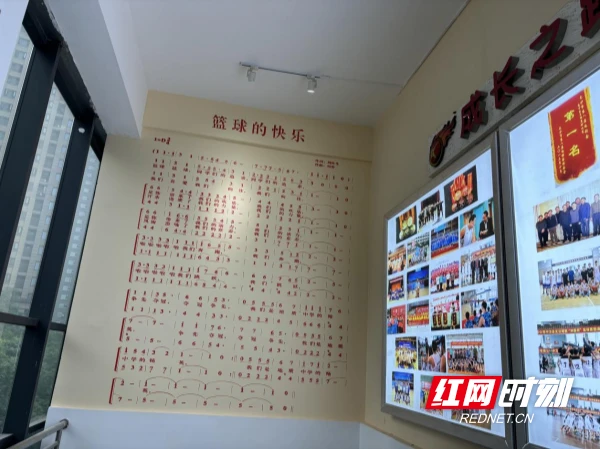 如何安排篮球主力的赛季前训练_0